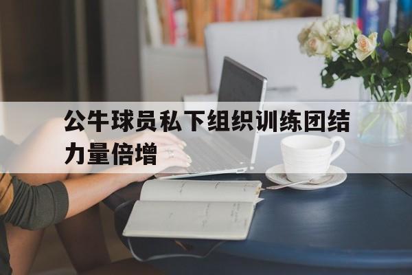 开云体育app下载-公牛球员私下组织训练团结力量倍增的简单介绍