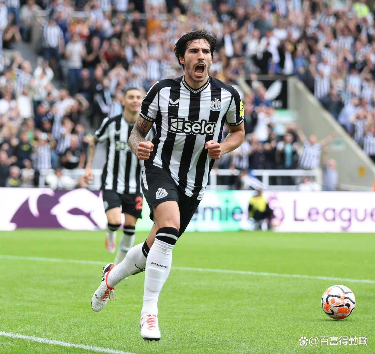 意大利球队获胜无可争议,欧冠决赛前途一片光明的简单介绍 意大利球队获胜无可争议,欧冠决赛前途一片光明的简单介绍